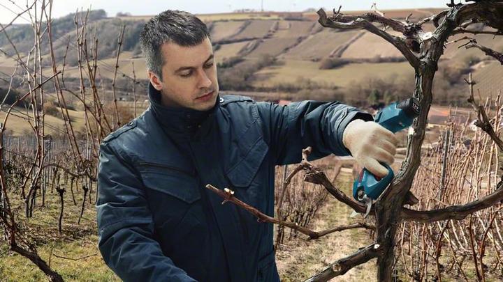 Immagine prodotto Bosch Professional Pro Pruner