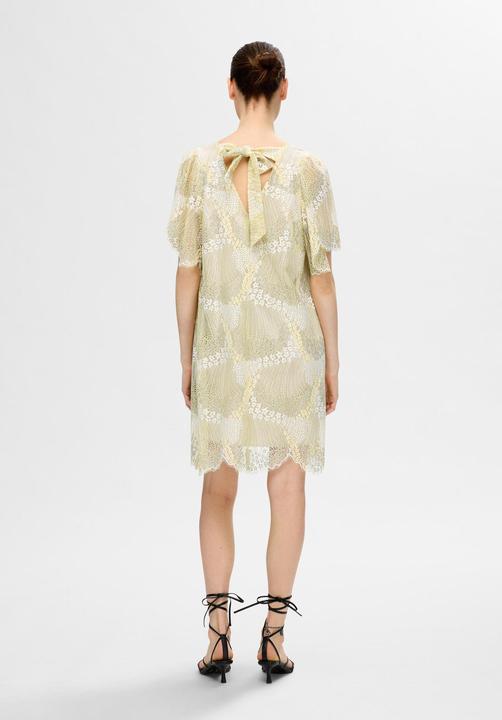 Image du produit Selected Femme Mini-robe en dentelle (40)