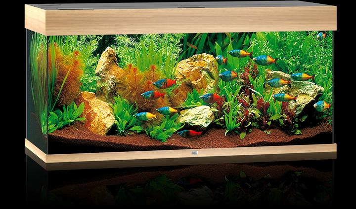 Produktbild Juwel Aquarium Rio (180 l)