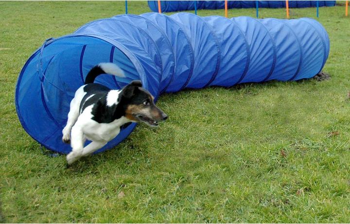 Produktbild Dobar Agility-Tunnel (Agility)