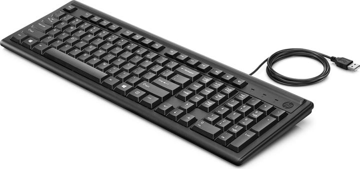 Produktbild HP 100 (CH, Kabelgebunden)