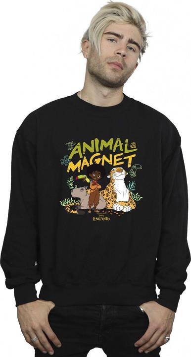 Produktbild Disney Encanto Animal Magnet Sweatshirt (XXL)