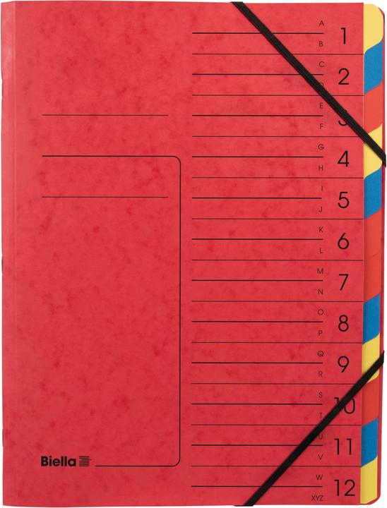Image du produit Biella TOP COLOR - Classeur à anneaux 12 pcs. (A4, 1 x)
