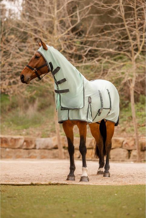Actual product image Horze Paso Fino (165 cm)