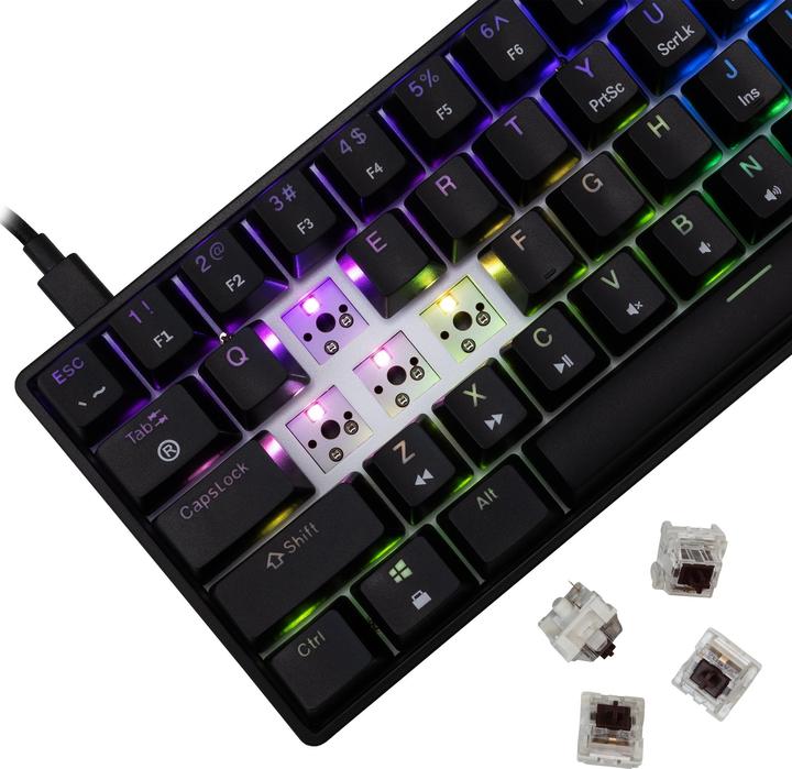 Actual product image White Shark GK-004131 Shinobi-2 Brown switch, Black US (US, Cable)