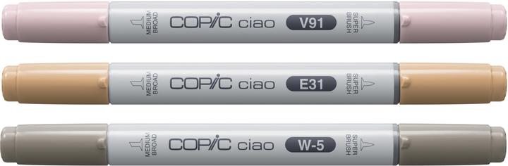 Image du produit Copic CIAO - Marqueurs (B-95 Light Grayish Cobalt, W-5 Gris chaud No. 5, E-31 Brick Beige, 6 mm, 3 x)
