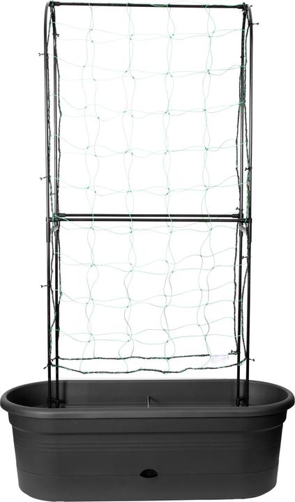 Produktbild Elho Green Basics (78 cm)