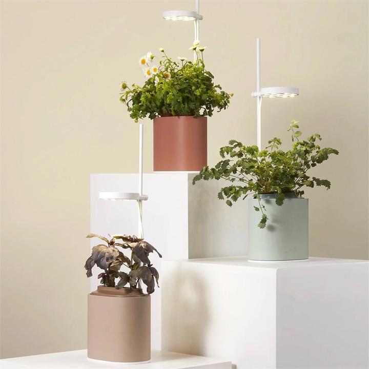 Actual product image Prêt à Pousser Herb Pot Nano, Celadon Green (13.50 cm)