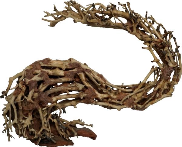 Actual product image 4fish Traerødder, Dragonhead, 22x10x15 cm (Embellishment, other items)