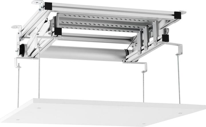 Immagine prodotto Celexon Expert PL300 - Sollevatore elettrico per proiettore (Soffitto)