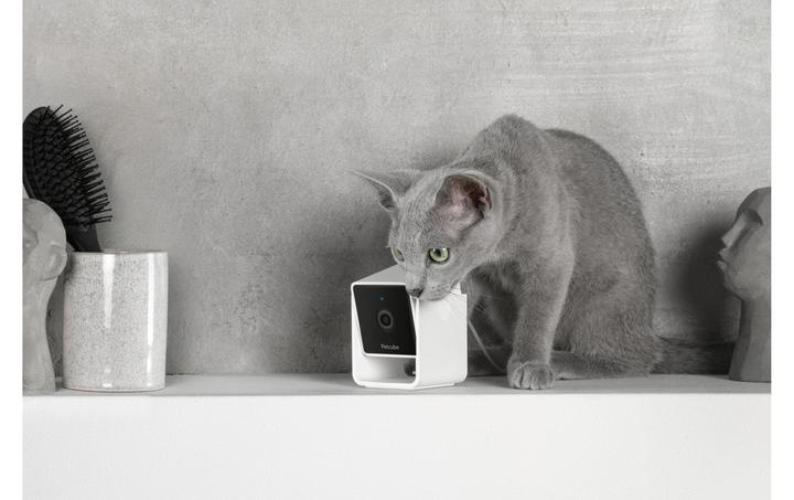 Produktbild Petcube Haustierkamera (Katzenminzespielzeug)