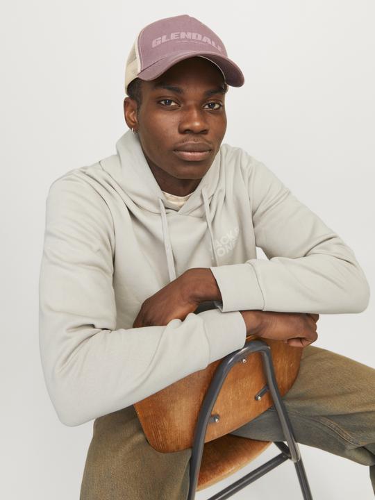 Actual product image Jack & Jones Logo hooded jumper Hooded jumper (XXL)