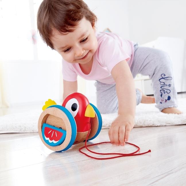 Actual product image Hape Birdie