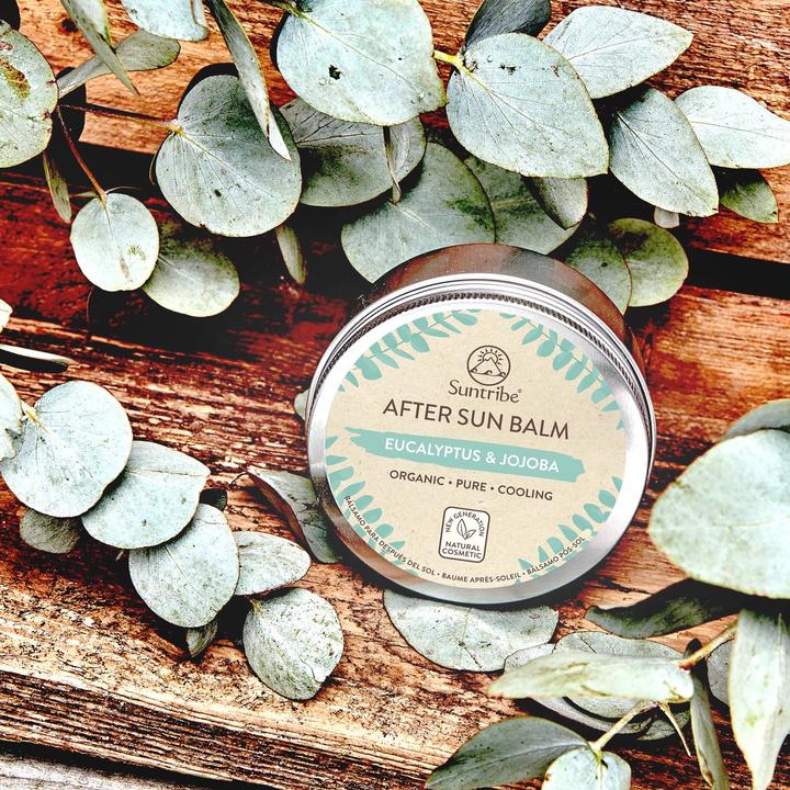 Image du produit Suntribe Bio-Aftersunbalsam Eukalyptus & Jojoba (Baume, 100 ml)