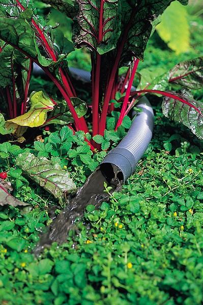Image du produit Oase Aspirateur de boues d'étang 27 l Pondov