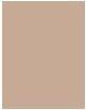 Actual product image Revlon Colorstay Makeup (400 Caramel)