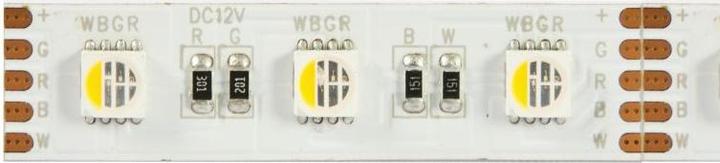 Synergy 21 LED Flex Strip RGB DC24V + RGB-W one chip ww (Blue, Green, Red, Warm white, 500 cm, Indoor)