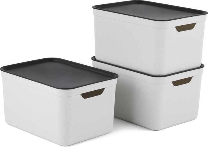 Immagine prodotto Rotho Jive (36,5 x 26,5 x 20 cm, 18 l)