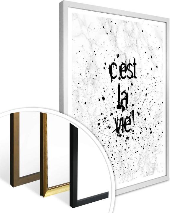 Image du produit Trenddeko C'est la vie (50 x 60 cm)