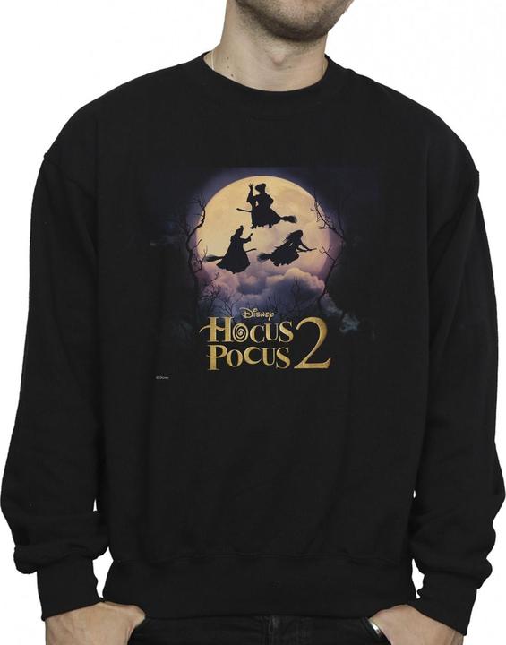 Image du produit Disney - Sweat HOCUS POCUS WITCHES FLYING - Homme (M)