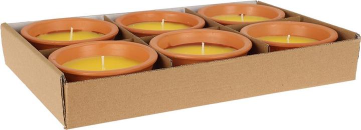 Produktbild Fs-Star Citronella Kerze im Topf 11x5cm (1 Stk.)