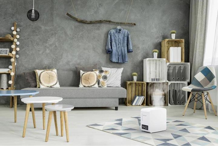 Actual product image Boneco S250 (40 m²)