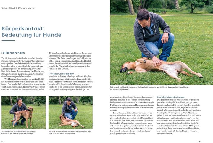 Actual product image Kosmos Sprachkurs Hund mit Martin Rütter (German, Martin Rütter, Andrea Buisman, 2022)