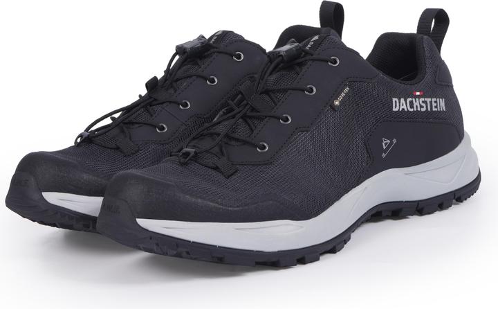 Actual product image Dachstein Delta Ascent GTX (42.5)