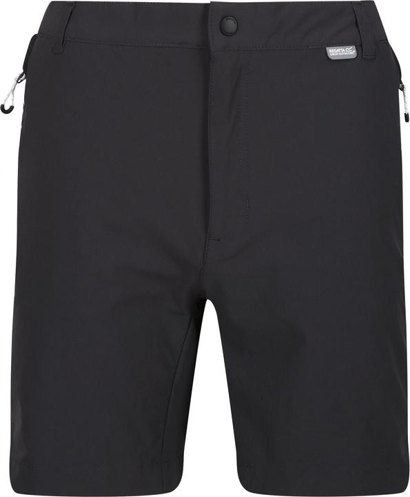 Actual product image Regatta Mens Mountain II Shorts (54 D)