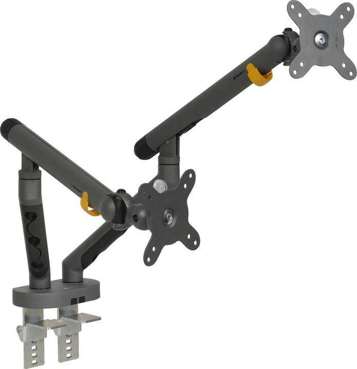 Bakker Elkhuizen BNEBFDDG BAKKER BE Flexible Monitorarm (Tisch, 35")