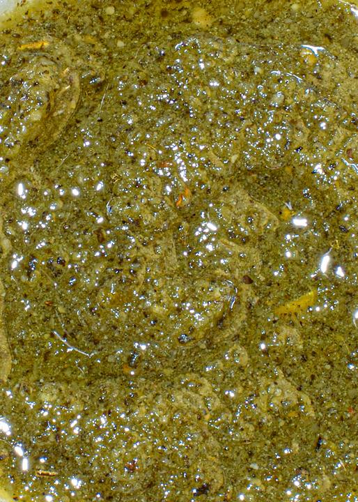 Actual product image KoRo Green pesto with sage (180 g)