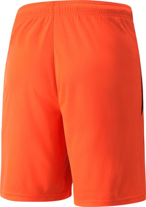 Actual product image Puma teamLIGA Shorts-704924 (XL)