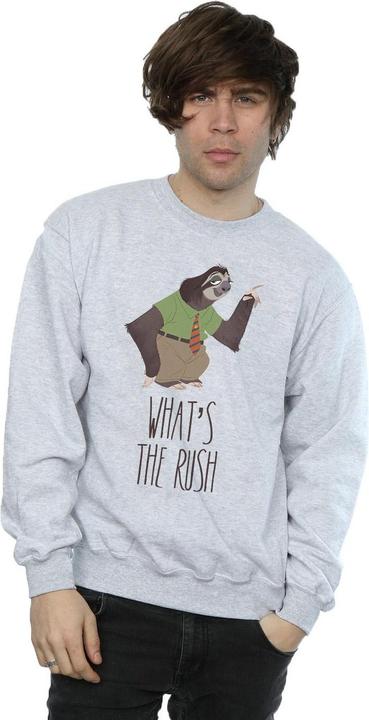 Produktbild Disney Zootropolis What's The Rush Sweatshirt (L)