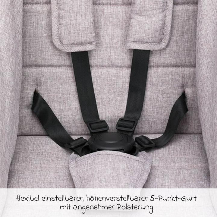 Immagine prodotto Fillikid Passeggini e carrozzine Passeggini e carrozzine Fill Allrounder fino a 22 kg di capacità di carico