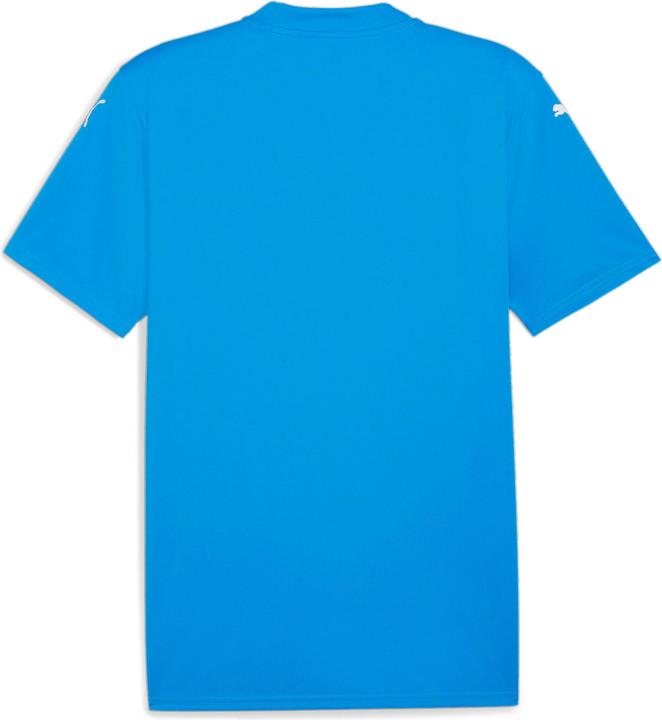 Image du produit Puma teamGLORY Jersey (L)