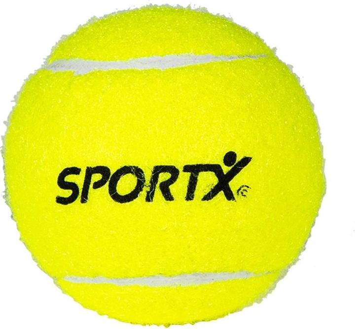 Actual product image Sport X AK Sport Unisex Youth Tennis Balls 3pcs Tube, Money, Official Size