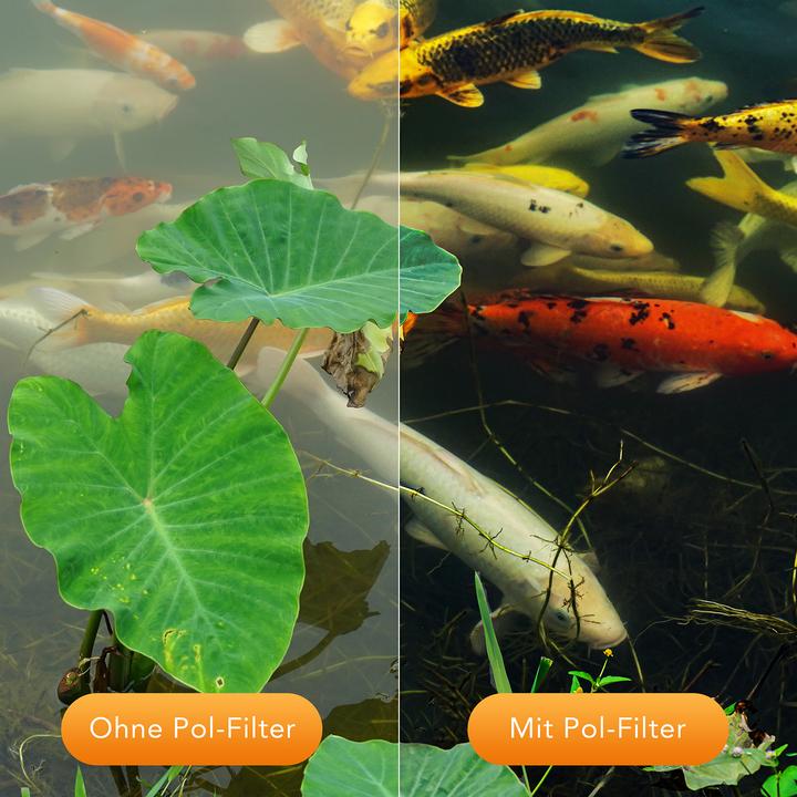 Image du produit Walimex Filtre polarisant circulaire MC (72 mm, Filtre polarisant)