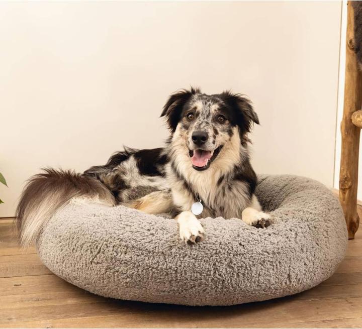 Immagine prodotto Beeztees Jaxx (Cane)