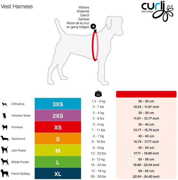 Immagine prodotto Curli Stoviglie Merino (XS, Cane, Generale)