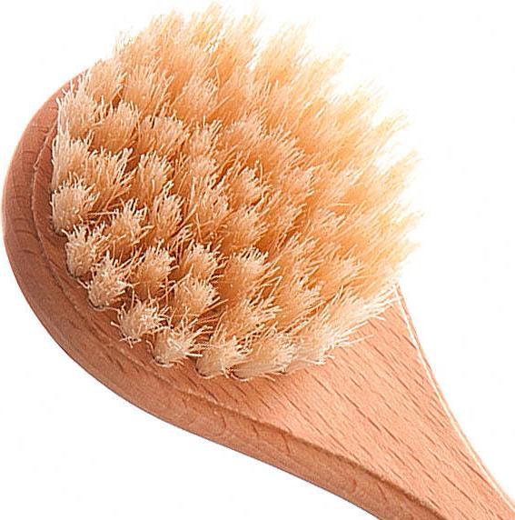 Immagine prodotto Biovan Gesichtsbürste