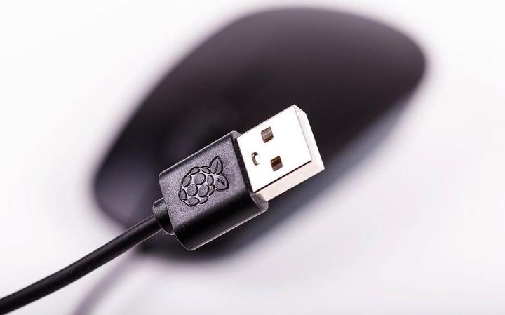 Image du produit Raspberry Pi RPi (Filaire)