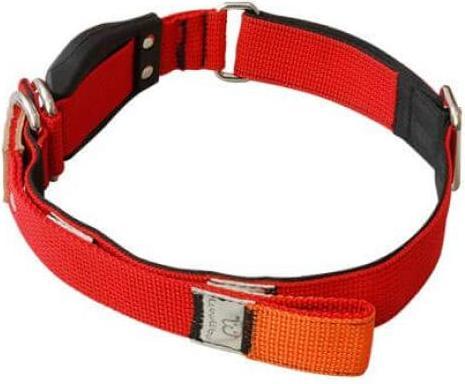 Immagine prodotto WowWow Collare con guinzaglio estraibile integrato rosso M (M, Cane, Generale)