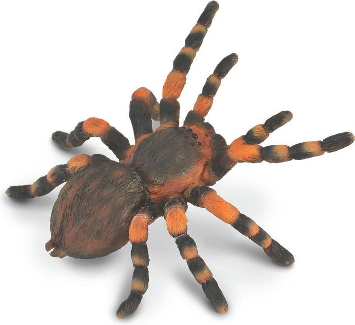 Produktbild Collecta Mexikanische Rotknie-Vogelspinne