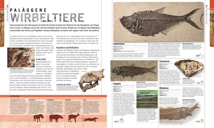 Image du produit Dinosaurier und andere Lebewesen der Urzeit (Allemand, Christopherua, Thomas, Jennifer/Duffin, BarryA/Clack, 2020)