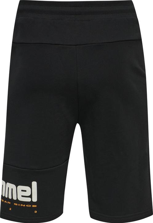 Actual product image hummel Lgc Manfred Shorts (M)