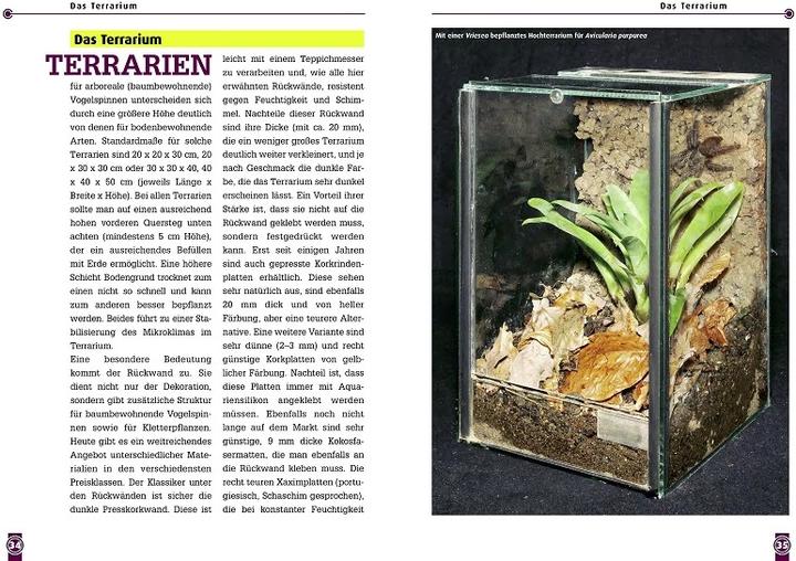 Immagine prodotto Die Martinique-Baumvogelspinne (Tedesco, Boris F. Striffler, 2021)