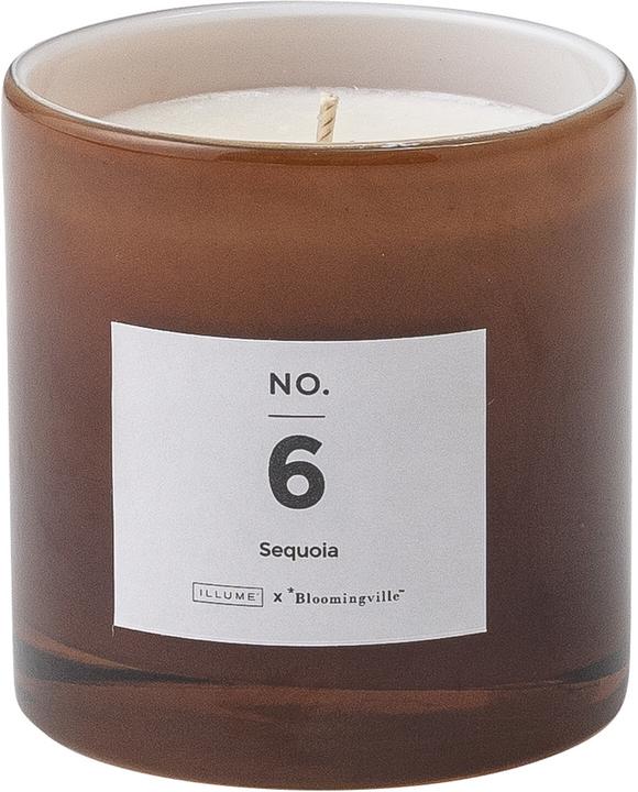 NO. 6 - Sequoia