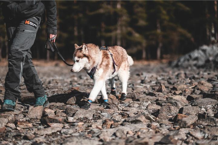 Produktbild Non-Stop Dogwear Protector (M, Hundebademantel)
