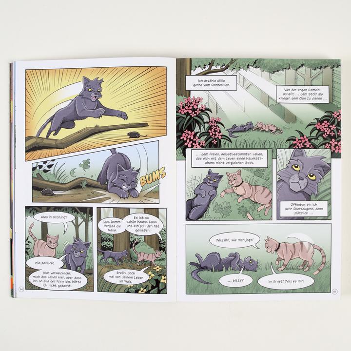 Immagine prodotto Warrior Cats - Graustreifs Weg zurück (Tedesco, Cacciatore di erin, Dan Jolley, 2024)