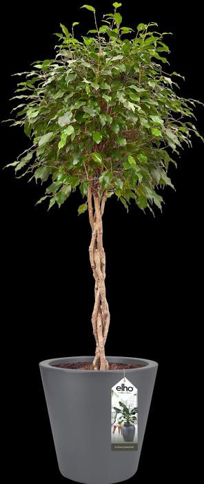 Actual product image Elho Planter Pure straight round plastic 65 H 68,5 cm anthracite (64 cm)